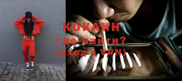 молекула духа Арсеньев