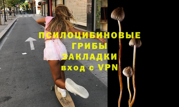 MDMA Новозыбков
