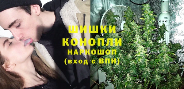 молекула духа Арсеньев