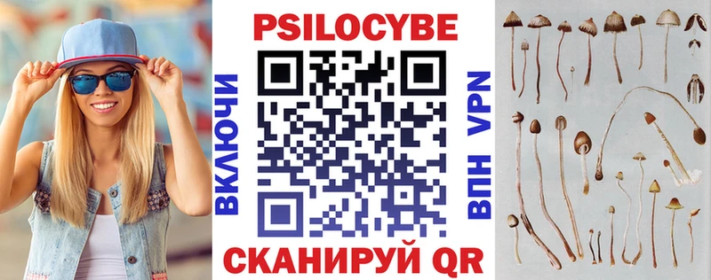 Псилоцибиновые грибы Psilocybine cubensis Бавлы