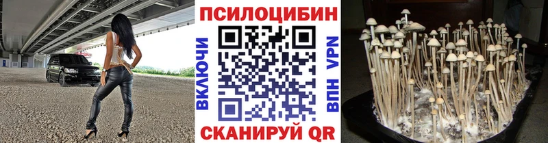 Псилоцибиновые грибы мицелий  Бавлы 